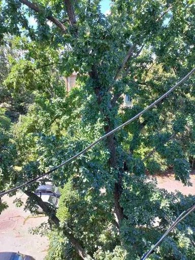 Продажа 2 кімнатної квартири на улица Оноре де Бальзака 79