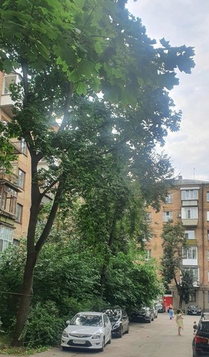 Продажа 3 кімнатної квартири на Підлісна вулиця 1-А