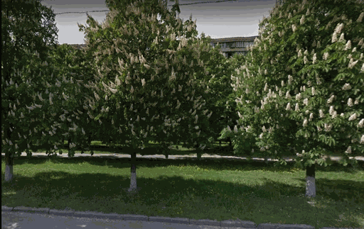 Продажа 1 кімнатної квартири на Звіринецький провулок 2-Б