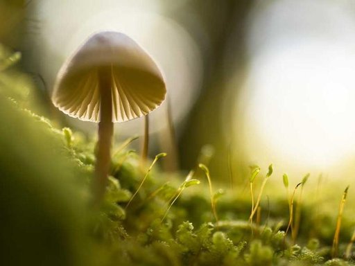 Оренда 1 кімнатного будинку по Старонаводницька вулиця 4-В