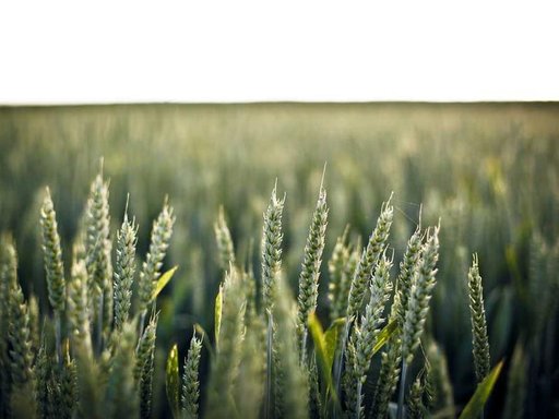 Оренда 2 кімнатного будинку по Воздвиженська вулиця 34