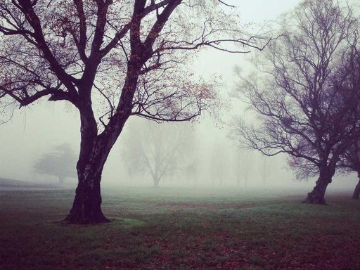 Оренда 1 кімнатного будинку по проспект Науки 84-А