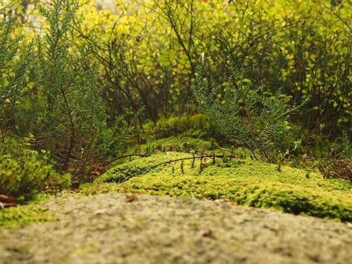 Оренда 2 кімнатного будинку по Тираспольська вулиця 52-А