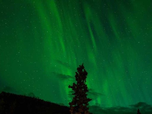 Оренда 2 кімнатного будинку по Воздвиженська вулиця 34