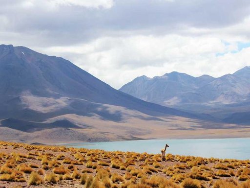 Оренда 4 кімнатного будинку по Костянтинівська вулиця 37