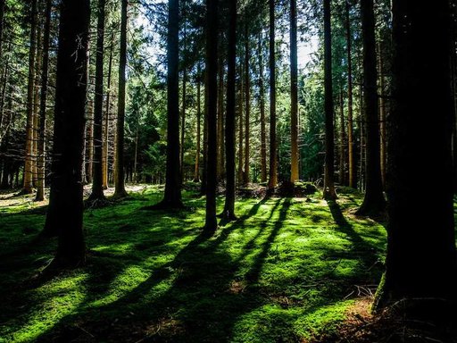 Оренда 5 кімнатного будинку по вулиця Академіка Корольова 8-А