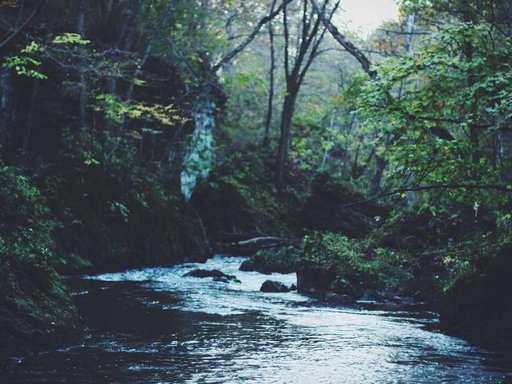 Оренда 5 кімнатного будинку по nan 16