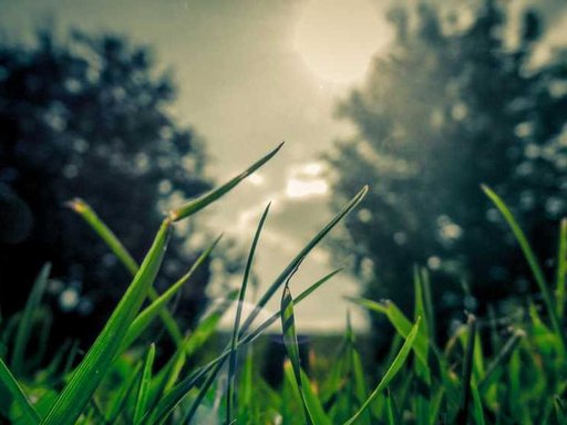 Оренда 5 кімнатного будинку по вулиця Митрополита Володимира Сабодана 2