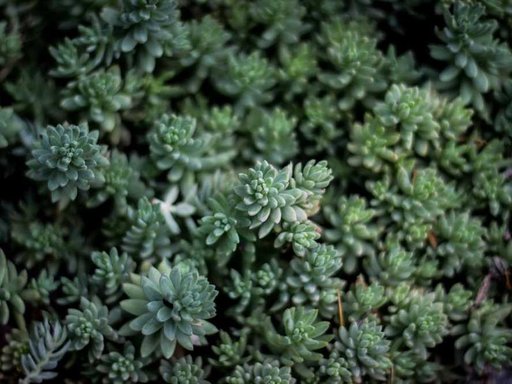 Оренда 2 кімнатного будинку по вулиця Миколи Трублаїні 112