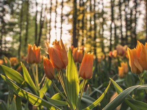 Оренда 2 кімнатного будинку по Теремківська вулиця 14