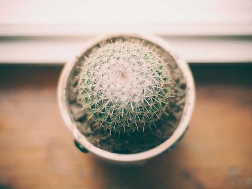 Оренда 4 кімнатного будинку по Оскольська вулиця 32