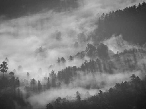 Оренда 4 кімнатного будинку по 1-ша Нова вулиця 93