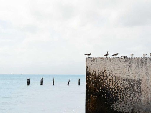 Оренда 3 кімнатного будинку по 4-та Садова вулиця 27