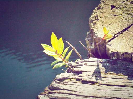 Оренда 1 кімнатного будинку по 5-та Газопровідна вулиця 233