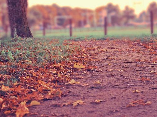 Оренда 1 кімнатного будинку по вулиця Федьковича 35