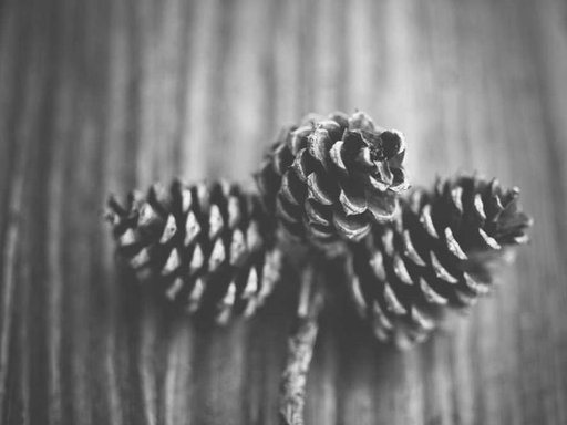 Оренда 4 кімнатного будинку по вулиця Олександра Бринжали 25