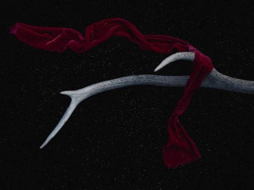 Оренда 1 кімнатного будинку по бульвар Павла Вірського 55