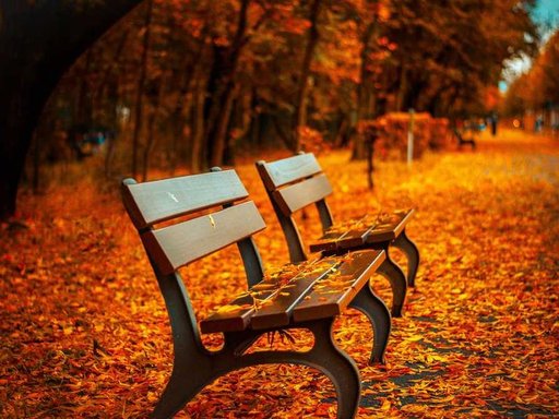 Оренда 2 кімнатного будинку по вулиця Івана Миколайчука 17/2