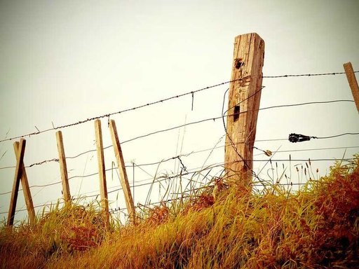 Оренда 3 кімнатного будинку по Русанівська набережна 8