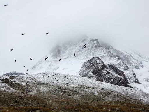 Оренда 5 кімнатного будинку по вулиця Рональда Рейгана 38