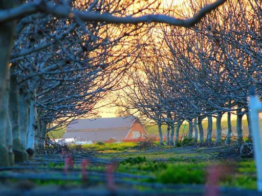 Оренда 5 кімнатного будинку по проспект Володимира Івасюка 10-Б