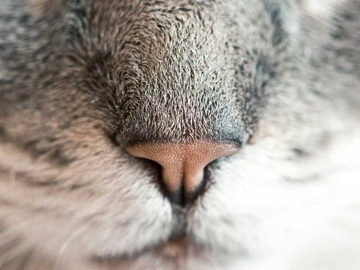 Оренда 1 кімнатного будинку по вулиця Василя Щавинського 11