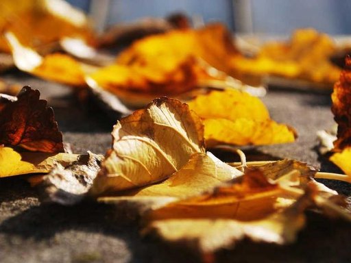 Оренда 1 кімнатного будинку по вулиця Князя Романа Мстиславича 18