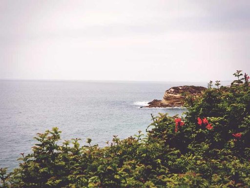 Оренда 3 кімнатного будинку по Березова вулиця 70