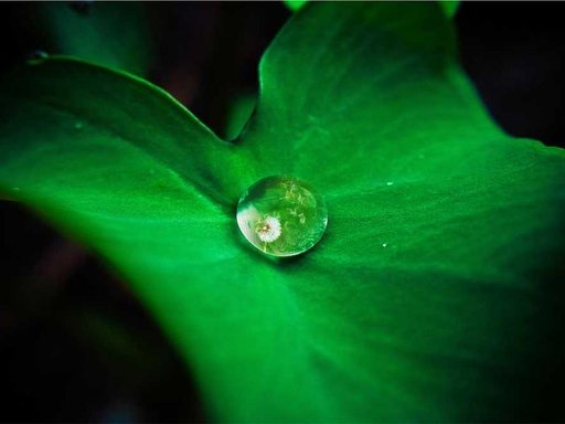 Оренда 3 кімнатного будинку по Карпатська вулиця 72