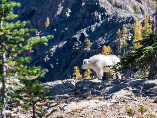 Оренда 4 кімнатного будинку по Грузинська вулиця 26-А