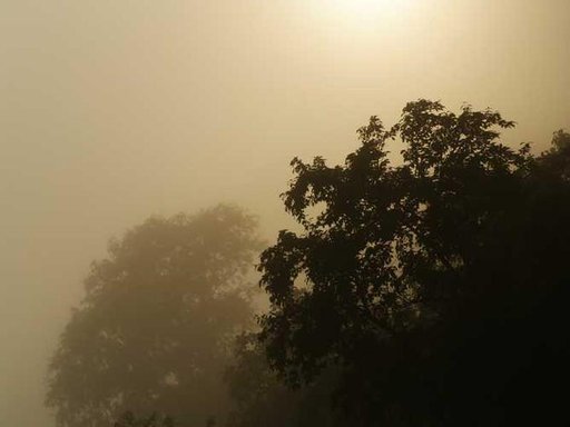 Оренда 1 кімнатного будинку по Якубенківська вулиця 2/4