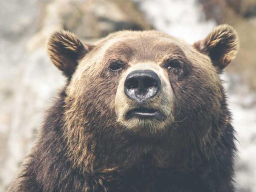 Продажа 5 кімнатної квартири на Регенераторна вулиця 4 к1-2