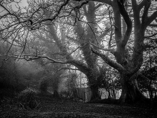 Оренда 1 кімнатного будинку по Полкова вулиця 10