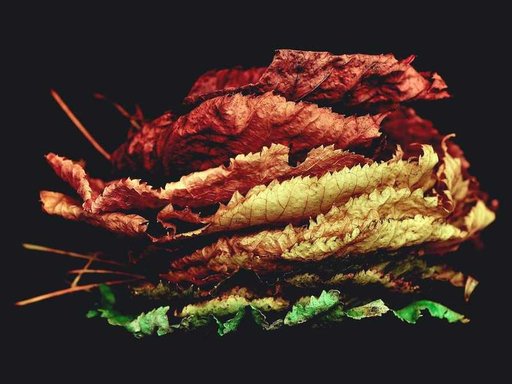 Оренда 3 кімнатного будинку по Рожева вулиця 4