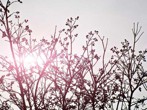 Оренда 2 кімнатного будинку по Алматинська вулиця 68