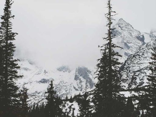 Оренда 4 кімнатного будинку по вулиця Олеся Гончара 28