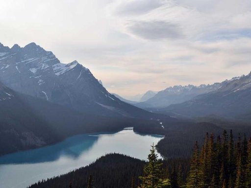 Оренда 5 кімнатного будинку по вулиця Професора Ейхельмана 36