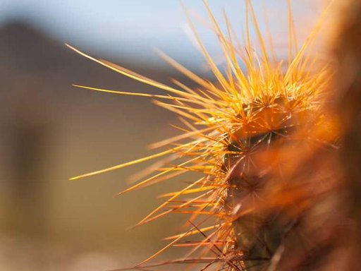 Оренда 2 кімнатного будинку по Пирятинський провулок 14