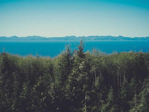 Оренда 2 кімнатного будинку по вулиця Євгенії Мірошниченко 5