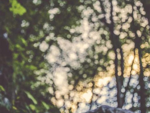 Оренда 3 кімнатного будинку по Відрадний проспект 32-А