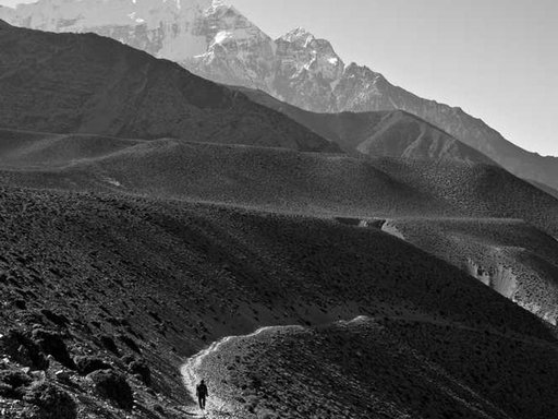 Оренда 4 кімнатного будинку по Постова вулиця 7