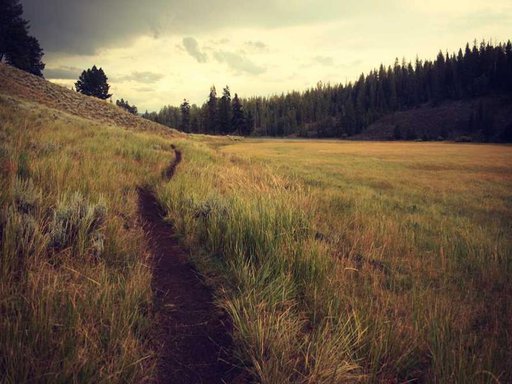 Оренда 5 кімнатного будинку по Юнацька вулиця 35