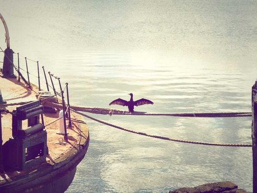 Оренда 5 кімнатного будинку по Вільшанська вулиця 23