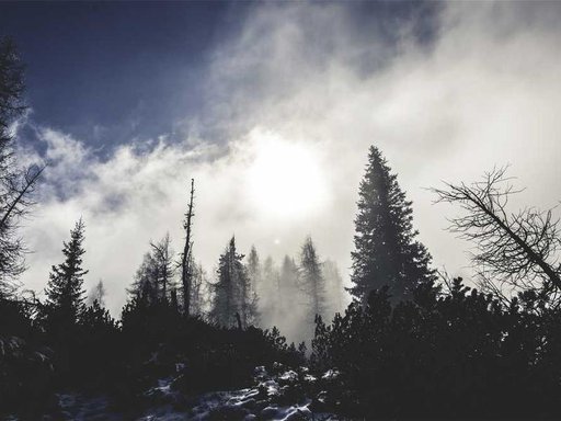 Оренда 1 кімнатного будинку по Теремківська вулиця 12