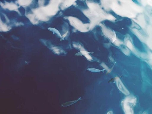 Оренда 1 кімнатного будинку по вулиця Ісмаїла Гаспринського 9-А