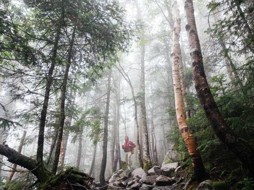 Оренда 2 кімнатного будинку по Прилужна вулиця 9