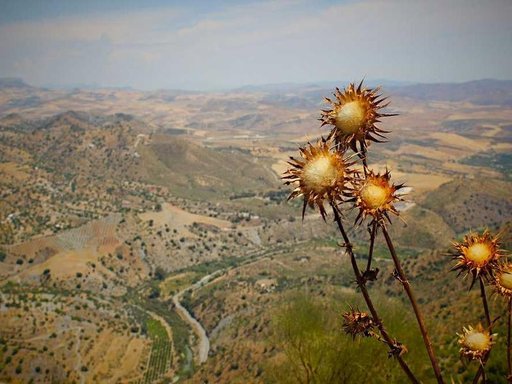 Оренда 2 кімнатного будинку по Велика Васильківська вулиця 72