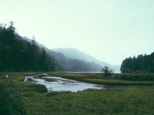 Оренда 4 кімнатного будинку по Братиславська вулиця 2