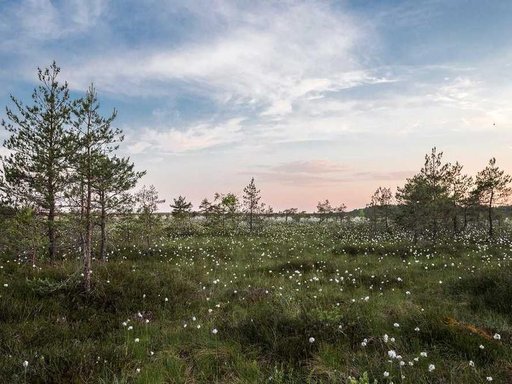 Оренда 2 кімнатного будинку по вулиця Миколи Трублаїні 12