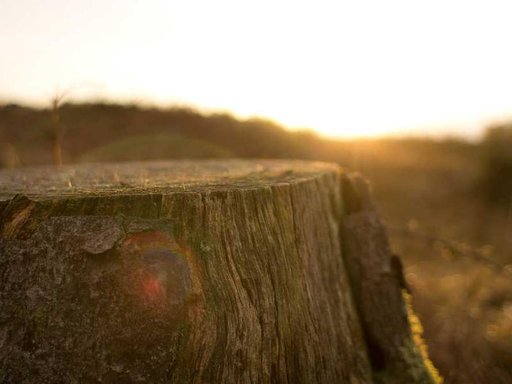 Оренда 2 кімнатного будинку по Щаслива вулиця 139